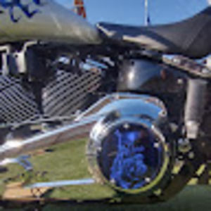 Meet your Posher, Roy